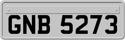 GNB5273