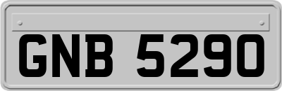 GNB5290