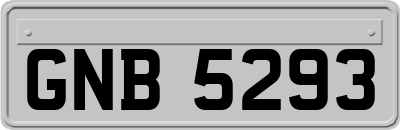 GNB5293