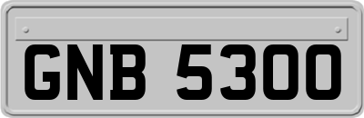 GNB5300