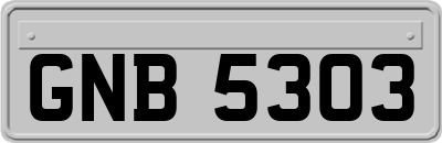 GNB5303