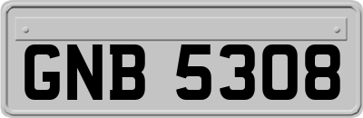 GNB5308