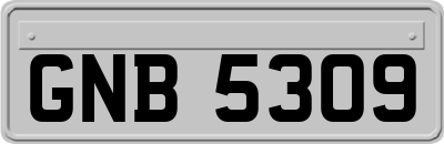 GNB5309