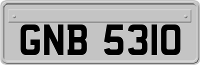GNB5310