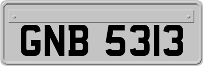 GNB5313