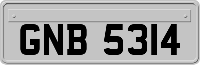 GNB5314