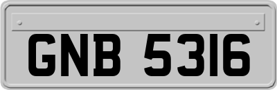 GNB5316