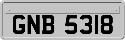 GNB5318