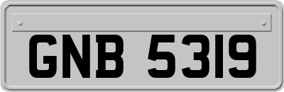 GNB5319