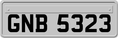 GNB5323