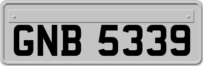 GNB5339
