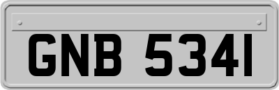 GNB5341