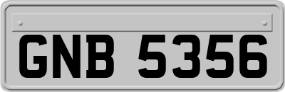GNB5356