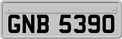 GNB5390