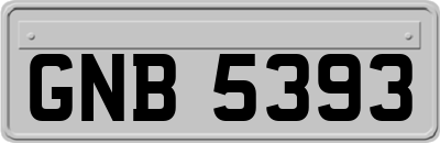 GNB5393
