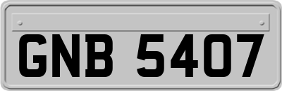 GNB5407