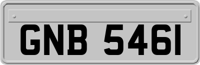 GNB5461