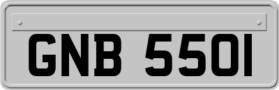 GNB5501