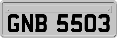 GNB5503