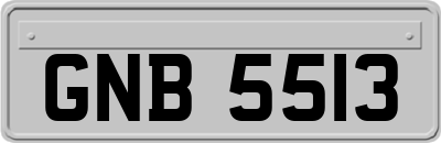 GNB5513