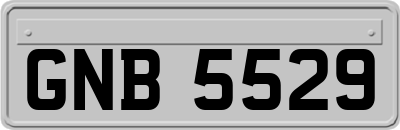 GNB5529