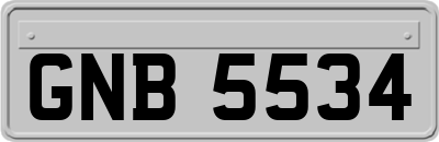 GNB5534