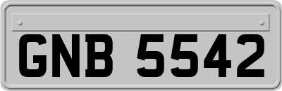GNB5542