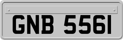 GNB5561