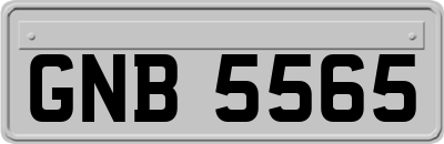 GNB5565