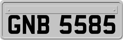 GNB5585