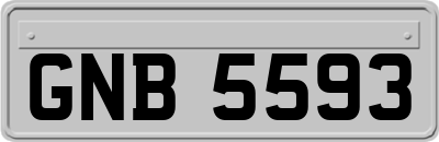 GNB5593