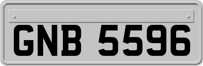 GNB5596