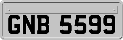 GNB5599