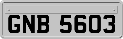 GNB5603