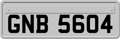 GNB5604
