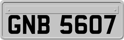 GNB5607