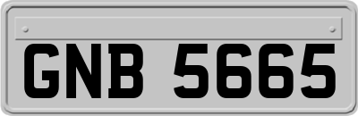 GNB5665