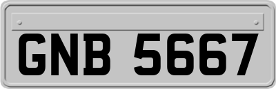 GNB5667