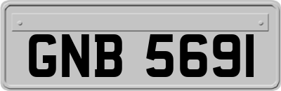 GNB5691