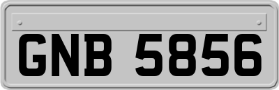 GNB5856