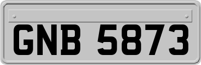 GNB5873