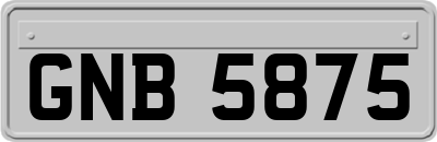 GNB5875