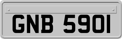 GNB5901