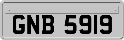 GNB5919