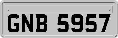 GNB5957