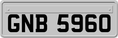 GNB5960