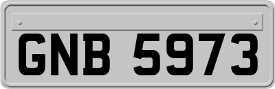 GNB5973