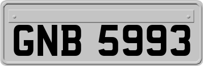 GNB5993