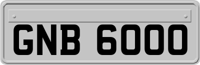 GNB6000