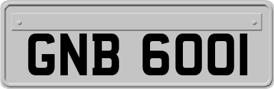 GNB6001